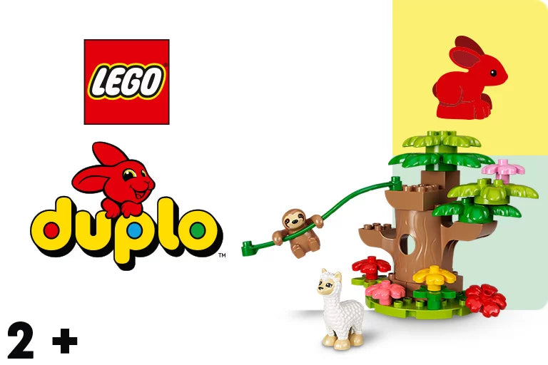 LEGO Duplo